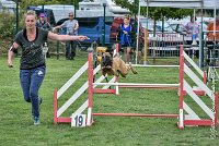 004 LIZZY -05082017-AGI 8856AGILITY COMPIEGNE 2017 - STANDARD : 2017, 25 JUIN 2017, AGILITY COMPIEGNE 2017, AGILITY STANDARD, CAT.C, D42, LIZZY
