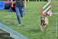 018 LIZZY -05082017-AGI 0211AGILITY COMPIEGNE 2017 - AGILITY 1 : 2017, 25 JUIN 2017, AGILITY 1, AGILITY COMPIEGNE 2017, CAT.C, D42, LIZZY
