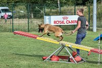 029 LIZZY -05082017-AGI 0223AGILITY COMPIEGNE 2017 - AGILITY 1 : 2017, 25 JUIN 2017, AGILITY 1, AGILITY COMPIEGNE 2017, CAT.C, D42, LIZZY