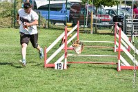 005 LYRA BELACQUA -05082017-AGI 9831AGILITY COMPIEGNE 2017 - STANDARD : 2017, 25 JUIN 2017, AGILITY COMPIEGNE 2017, AGILITY STANDARD, CAT.A, D01, LYRA BELACQUA