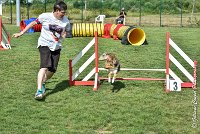 015 LYRA BELACQUA -05082017-AGI 9844AGILITY COMPIEGNE 2017 - STANDARD : 2017, 25 JUIN 2017, AGILITY COMPIEGNE 2017, AGILITY STANDARD, CAT.A, D01, LYRA BELACQUA