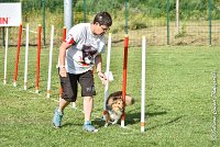 029 LYRA BELACQUA -05082017-AGI 0600AGILITY COMPIEGNE 2017 - AGILITY 1 : 2017, 25 JUIN 2017, AGILITY 1, AGILITY COMPIEGNE 2017, CAT.A, D01, LYRA BELACQUA