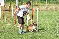 030 LYRA BELACQUA -05082017-AGI 0601AGILITY COMPIEGNE 2017 - AGILITY 1 : 2017, 25 JUIN 2017, AGILITY 1, AGILITY COMPIEGNE 2017, CAT.A, D01, LYRA BELACQUA