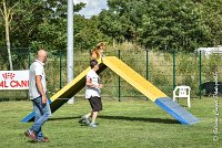 033 LYRA BELACQUA -05082017-AGI 0607AGILITY COMPIEGNE 2017 - AGILITY 1 : 2017, 25 JUIN 2017, AGILITY 1, AGILITY COMPIEGNE 2017, CAT.A, D01, LYRA BELACQUA