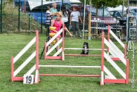 001 ULYSSE -05082017-AGI 9988AGILITY COMPIEGNE 2017 - STANDARD : 2017, 25 JUIN 2017, AGILITY COMPIEGNE 2017, AGILITY STANDARD, CAT.A, D09, ULYSSE