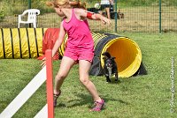 013 ULYSSE -05082017-AGI 0004AGILITY COMPIEGNE 2017 - STANDARD : 2017, 25 JUIN 2017, AGILITY COMPIEGNE 2017, AGILITY STANDARD, CAT.A, D09, ULYSSE