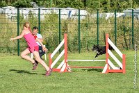 016 ULYSSE -05082017-AGI 0863AGILITY COMPIEGNE 2017 : 2017, 25 JUIN 2017, AGILITY 2, AGILITY COMPIEGNE 2017, CAT.A, D09, ULYSSE