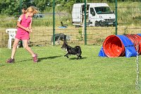 018 ULYSSE -05082017-AGI 0865AGILITY COMPIEGNE 2017 : 2017, 25 JUIN 2017, AGILITY 2, AGILITY COMPIEGNE 2017, CAT.A, D09, ULYSSE