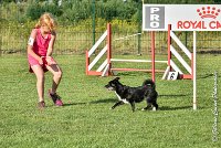 019 ULYSSE -05082017-AGI 0866AGILITY COMPIEGNE 2017 : 2017, 25 JUIN 2017, AGILITY 2, AGILITY COMPIEGNE 2017, CAT.A, D09, ULYSSE