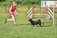 020 ULYSSE -05082017-AGI 0867AGILITY COMPIEGNE 2017 : 2017, 25 JUIN 2017, AGILITY 2, AGILITY COMPIEGNE 2017, CAT.A, D09, ULYSSE