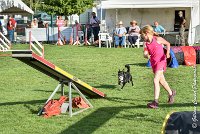 024 ULYSSE -05082017-AGI 0873AGILITY COMPIEGNE 2017 : 2017, 25 JUIN 2017, AGILITY 2, AGILITY COMPIEGNE 2017, CAT.A, D09, ULYSSE