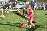 025 ULYSSE -05082017-AGI 0874AGILITY COMPIEGNE 2017 : 2017, 25 JUIN 2017, AGILITY 2, AGILITY COMPIEGNE 2017, CAT.A, D09, ULYSSE