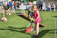 026 ULYSSE -05082017-AGI 0875AGILITY COMPIEGNE 2017 : 2017, 25 JUIN 2017, AGILITY 2, AGILITY COMPIEGNE 2017, CAT.A, D09, ULYSSE