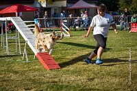 006 AGILITY HERMES -FALKA -3211 : 2016, 25 Septembre 2016, AGILITY HERMES, Dossard 74, FALKA, open+