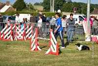 001 AGILITY HERMES - GRINTA-3263 : 2016, 25 Septembre 2016, AGILITY HERMES, Catégorie C, Dossard  66, GRINTA, open+