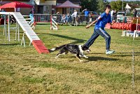 008 AGILITY HERMES - GRINTA-3270 : 2016, 25 Septembre 2016, AGILITY HERMES, Catégorie C, Dossard  66, GRINTA, open+