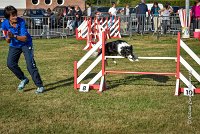 011 AGILITY HERMES - GRINTA-3274 : 2016, 25 Septembre 2016, AGILITY HERMES, Catégorie C, Dossard  66, GRINTA, open+