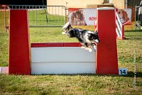 014 AGILITY HERMES - GRINTA-3277 : 25 Septembre 2016, AGILITY HERMES, Catégorie C, Dossard  66, GRINTA, open+