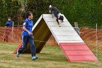 017 AGILITY HERMES - GRINTA-3977 : 2016, 25 Septembre 2016, 2ème degré, AGILITY HERMES, Catégorie C, Dossard  66, GRINTA