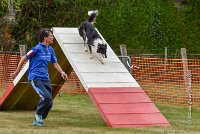 018 AGILITY HERMES - GRINTA-3978 : 2016, 25 Septembre 2016, 2ème degré, AGILITY HERMES, Catégorie C, Dossard  66, GRINTA