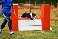 019 AGILITY HERMES - GRINTA-3979 : 2016, 25 Septembre 2016, 2ème degré, AGILITY HERMES, Catégorie C, Dossard  66, GRINTA