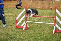 021 AGILITY HERMES - GRINTA-3981 : 2016, 25 Septembre 2016, 2ème degré, AGILITY HERMES, Catégorie C, Dossard  66, GRINTA