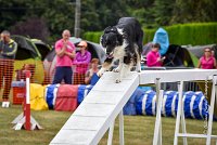 023 AGILITY HERMES - GRINTA-3983 : 2016, 25 Septembre 2016, 2ème degré, AGILITY HERMES, Catégorie C, Dossard  66, GRINTA