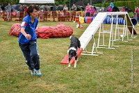 024 AGILITY HERMES - GRINTA-3985 : 2016, 25 Septembre 2016, 2ème degré, AGILITY HERMES, Catégorie C, Dossard  66, GRINTA