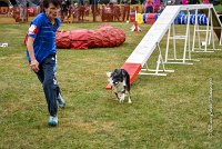025 AGILITY HERMES - GRINTA-3986 : 2016, 25 Septembre 2016, 2ème degré, AGILITY HERMES, Catégorie C, Dossard  66, GRINTA