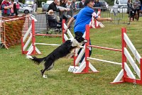 027 AGILITY HERMES - GRINTA-3989 : 2016, 25 Septembre 2016, 2ème degré, AGILITY HERMES, Catégorie C, Dossard  66, GRINTA