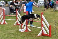 028 AGILITY HERMES - GRINTA-3990 : 2016, 25 Septembre 2016, 2ème degré, AGILITY HERMES, Catégorie C, Dossard  66, GRINTA