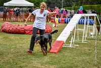 017 AGILITY HERMES -GWENDIE -3943 : 2016, 25 Septembre 2016, 2ème degré, AGILITY HERMES, Dossard  38, GWENDIE