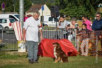 002 AGILITY HERMES -HOPE -3183 : 2016, 25 Septembre 2016, AGILITY HERMES, Dossard 9, HOPE, open+