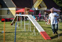 009 AGILITY HERMES -HOPE -3191 : 2016, 25 Septembre 2016, AGILITY HERMES, Dossard 9, HOPE, open+
