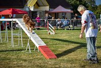 010 AGILITY HERMES -HOPE -3192 : 2016, 25 Septembre 2016, AGILITY HERMES, Dossard 9, HOPE, open+