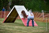 023 AGILITY HERMES -HOPE -4055 : 2016, 25 Septembre 2016, 2ème degré, AGILITY HERMES, Dossard 9, HOPE