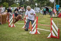 031 AGILITY HERMES -HOPE -4066 : 2016, 25 Septembre 2016, 2ème degré, AGILITY HERMES, Dossard 9, HOPE