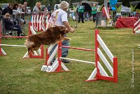 032 AGILITY HERMES -HOPE -4067 : 2016, 25 Septembre 2016, 2ème degré, AGILITY HERMES, Dossard 9, HOPE