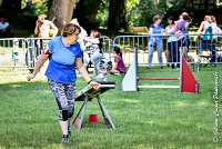 019 ELFY BLUE TENTATION -17062017-ATE 5204AGILITY 2-Modifier : 17 JUIN 2017, 2017, AGILITY 2, AGILITY L'ISLE ADAM 2017, CAT.A, D04, ELFY BLUE TENTATION
