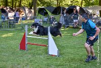 011 ISKA -17062017-ATE 3264Epreuve ouverte : 17 JUIN 2017, 2017, AGILITY L'ISLE ADAM 2017, CAT.C, D43, EPREUVE OUVERTE, ISKA L'EUSKALDUNA