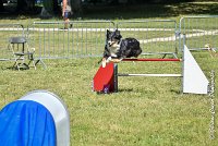 025 ISKA -17062017-ATE 4931AGILITY 2 : 17 JUIN 2017, 2017, AGILITY 2, AGILITY L'ISLE ADAM 2017, CAT.C, D43, ISKA L'EUSKALDUNA