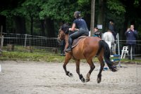 0015 Moussy le neuf  - CLAUDINE -6887 : 2016, 5 JUIN 2016, Claudine, JUMPING MOUSSY LE NEUF, SAUT D'OBSTACLE