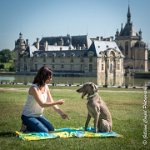 LOUVE 29052017-ATE 2674 : 2017, 29 MAI 2017, CAROLINE CARIOU, CHANTILLY, CHIEN, LOUVE, SEANCE PARTICULIER