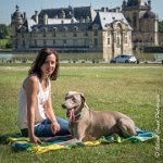 LOUVE 29052017-ATE 2678 : 2017, 29 MAI 2017, CAROLINE CARIOU, CHANTILLY, CHIEN, LOUVE, SEANCE PARTICULIER