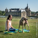 LOUVE 29052017-ATE 2685 : 2017, 29 MAI 2017, CAROLINE CARIOU, CHANTILLY, CHIEN, LOUVE, SEANCE PARTICULIER