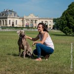 LOUVE 29052017-ATE 2692 : 2017, 29 MAI 2017, CAROLINE CARIOU, CHANTILLY, CHIEN, LOUVE, SEANCE PARTICULIER