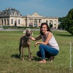 LOUVE 29052017-ATE 2693 : 2017, 29 MAI 2017, CAROLINE CARIOU, CHANTILLY, CHIEN, Ft WEB, LOUVE, SEANCE PARTICULIER