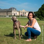 LOUVE 29052017-ATE 2694 : 2017, 29 MAI 2017, CAROLINE CARIOU, CHANTILLY, CHIEN, LOUVE, SEANCE PARTICULIER