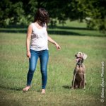 LOUVE 29052017-ATE 2711 : 2017, 29 MAI 2017, CAROLINE CARIOU, CHANTILLY, CHIEN, LOUVE, SEANCE PARTICULIER