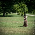 LOUVE 29052017-ATE 2712 : 2017, 29 MAI 2017, CAROLINE CARIOU, CHANTILLY, CHIEN, Ft 13x18, LOUVE, SEANCE PARTICULIER